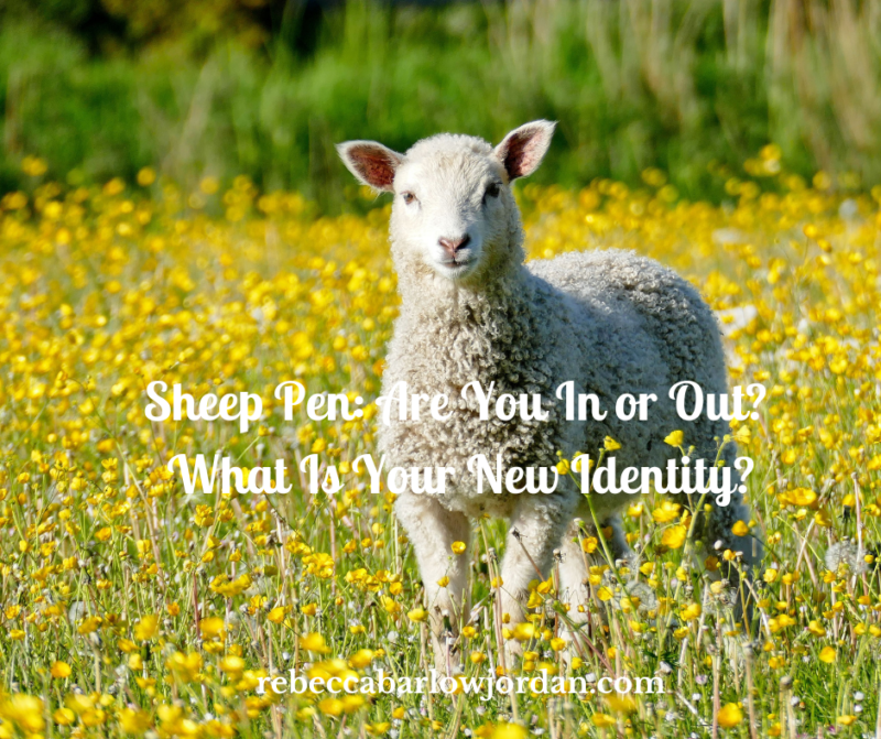 Sheep Pen: Are You In or Out?